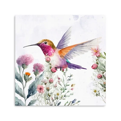 Hummingbird Wildflower II Canvas Art Print