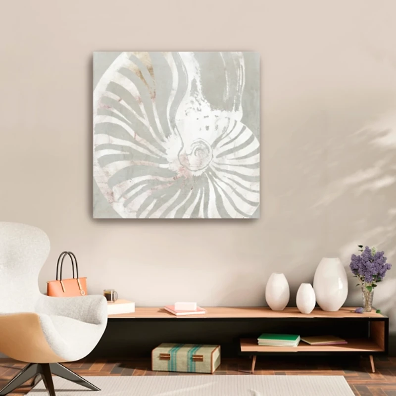 Seashell Close Up Canvas Art Print