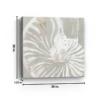 Seashell Close Up Canvas Art Print