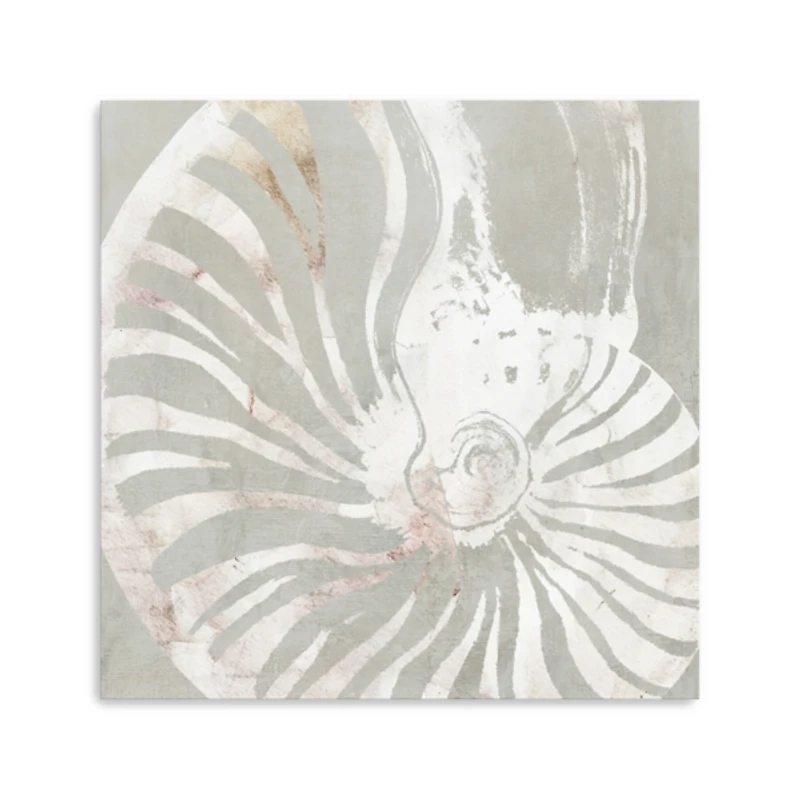 Seashell Close Up Canvas Art Print