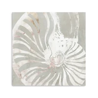 Seashell Close Up Canvas Art Print