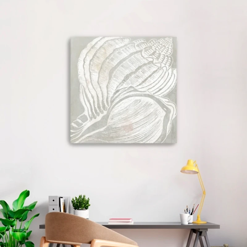 Spiral Seashell Close Up Canvas Art Print