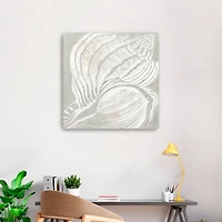 Spiral Seashell Close Up Canvas Art Print