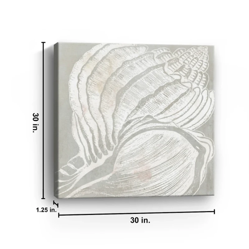 Spiral Seashell Close Up Canvas Art Print