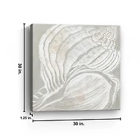 Spiral Seashell Close Up Canvas Art Print