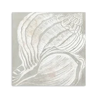 Spiral Seashell Close Up Canvas Art Print