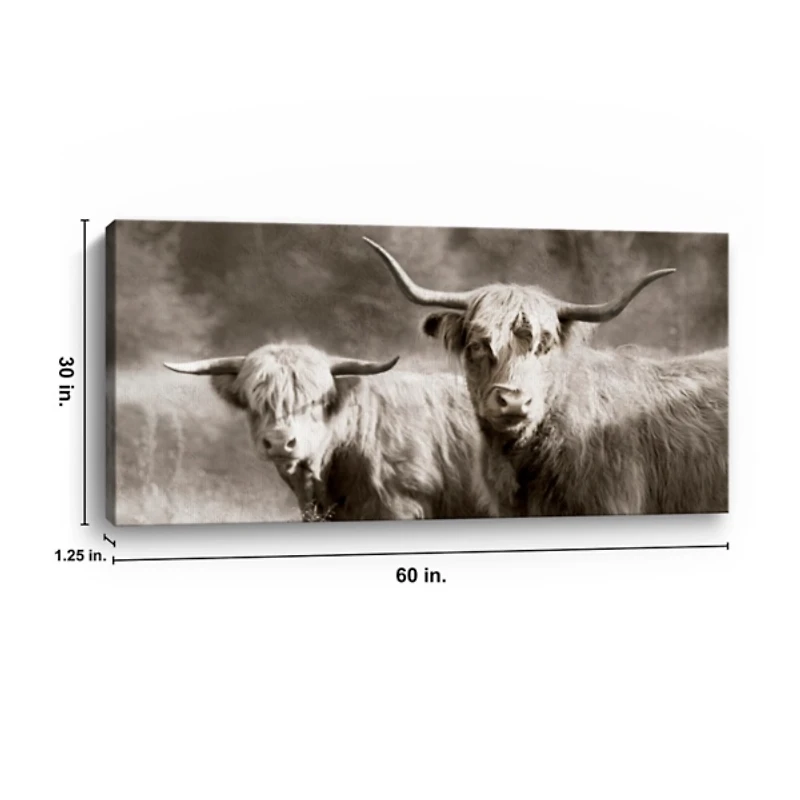 Sepia Hairy Highland Canvas Art Print