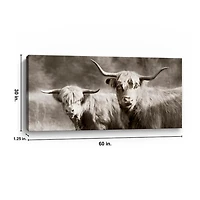 Sepia Hairy Highland Canvas Art Print