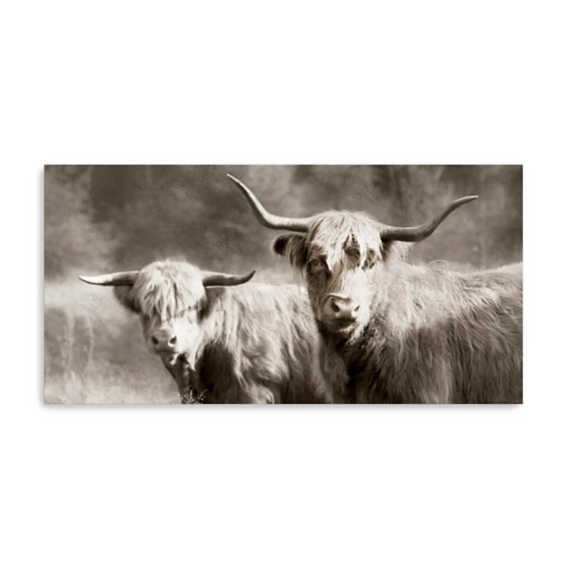 Sepia Hairy Highland Canvas Art Print