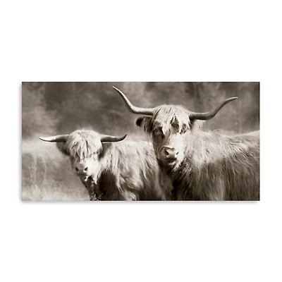 Sepia Hairy Highland Canvas Art Print