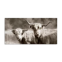Sepia Hairy Highland Canvas Art Print