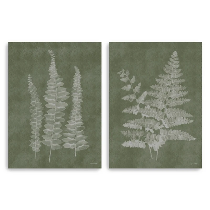 Woodland Ferns 2-pc. Canvas Art Print Set