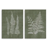 Woodland Ferns 2-pc. Canvas Art Print Set