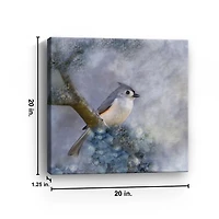 Tufted Titmouse Bird Canvas Art Print