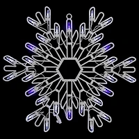 LED White and Blue Snowflake Decoration, 16 in.