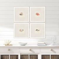 Coastal Medley Framed Art Prints, Set of 4