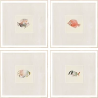 Coastal Medley Framed Art Prints, Set of 4