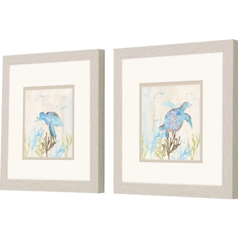 Blue Sea Turtle Frames Art Prints, Set of 2