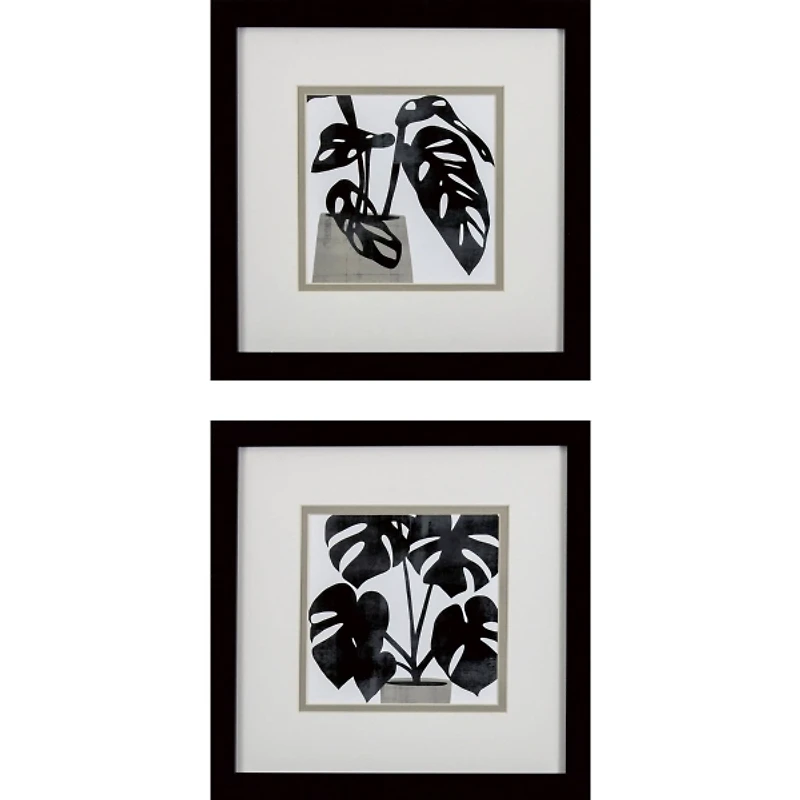 Black Plantling I Framed Art Prints, Set of 2