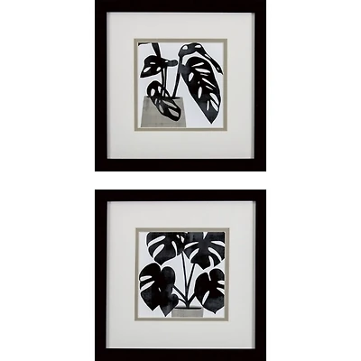 Black Plantling I Framed Art Prints, Set of 2