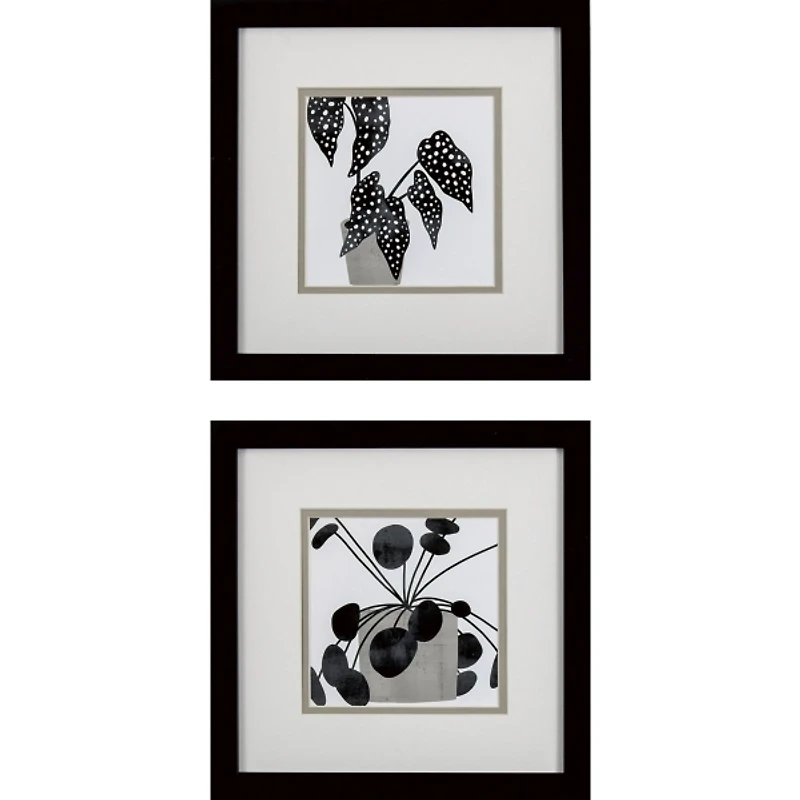 Black Plantling II Framed Art Prints, Set of 2