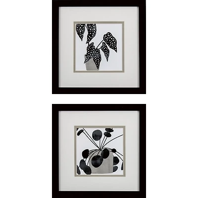 Black Plantling II Framed Art Prints, Set of 2