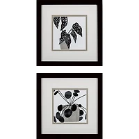 Black Plantling II Framed Art Prints, Set of 2