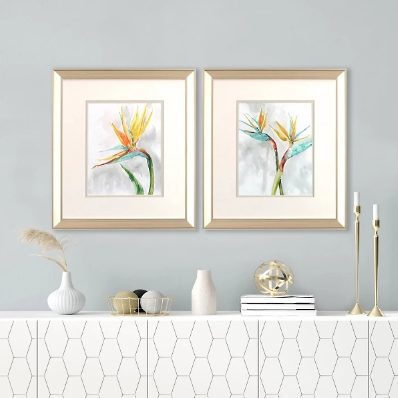 Bird of Paradise Framed Art Prints, Set of 2