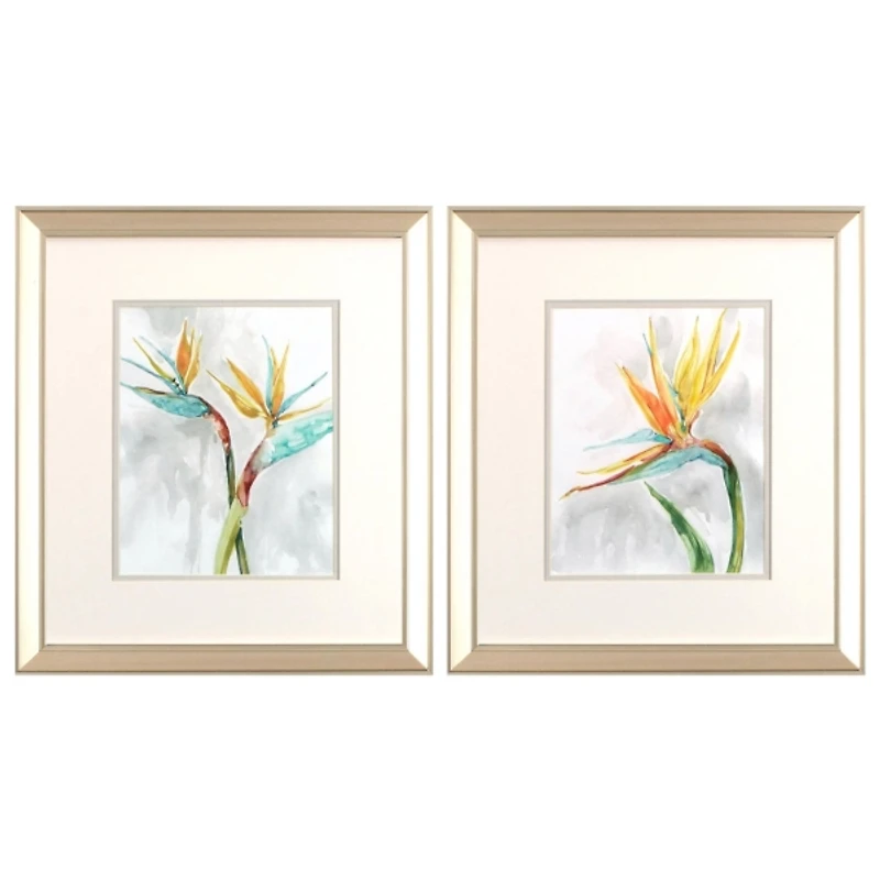 Bird of Paradise Framed Art Prints, Set of 2