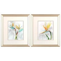 Bird of Paradise Framed Art Prints, Set of 2