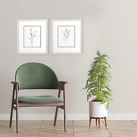 Olive Leaves Framed Art Prints, Set of 2