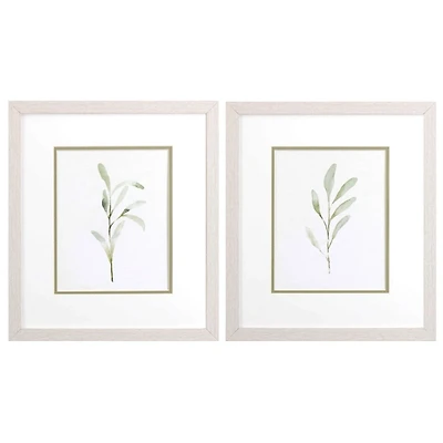 Olive Leaves Framed Art Prints, Set of 2