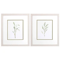 Olive Leaves Framed Art Prints, Set of 2
