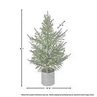 Norfolk Pine Arrangement in Galvanized Planter