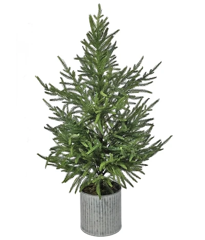 Norfolk Pine Arrangement in Galvanized Planter