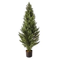 Potted Arborvitae Christmas Tree