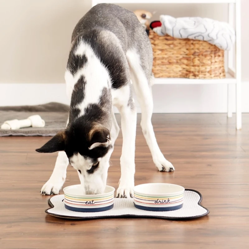 Eat & Drink Medium Striped Pet Bowls, Set of 2