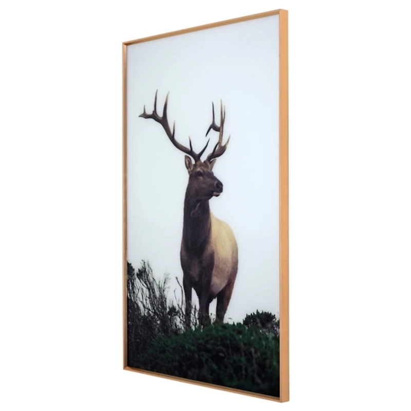 Buck Framed Tempered Glass Art Print