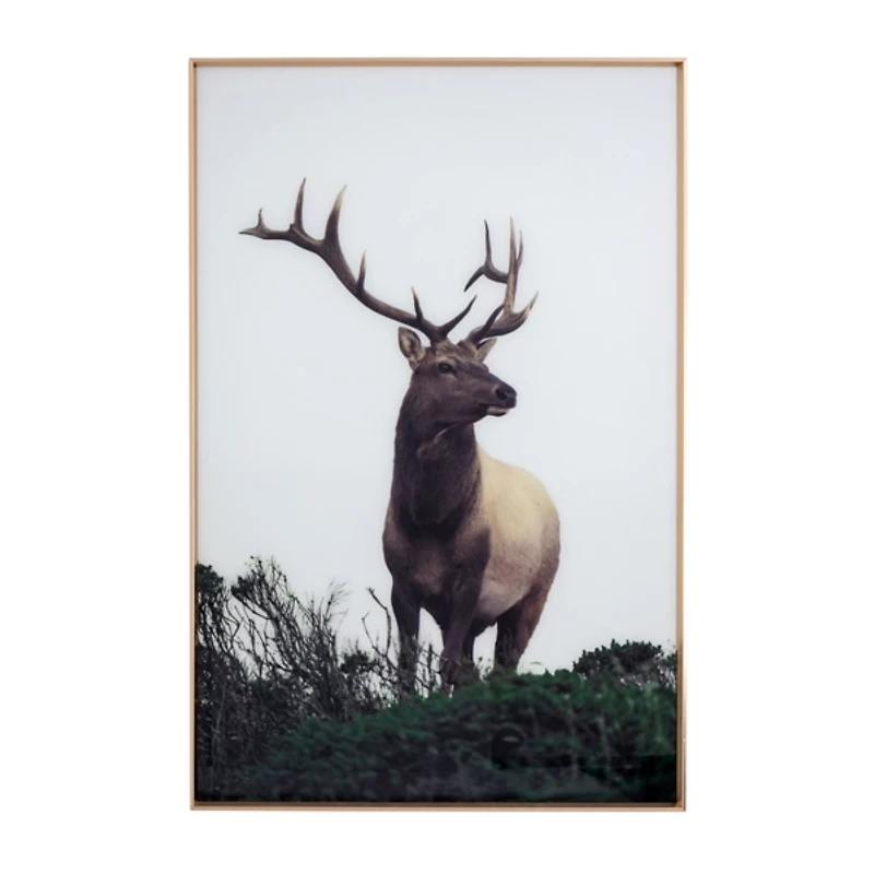 Buck Framed Tempered Glass Art Print