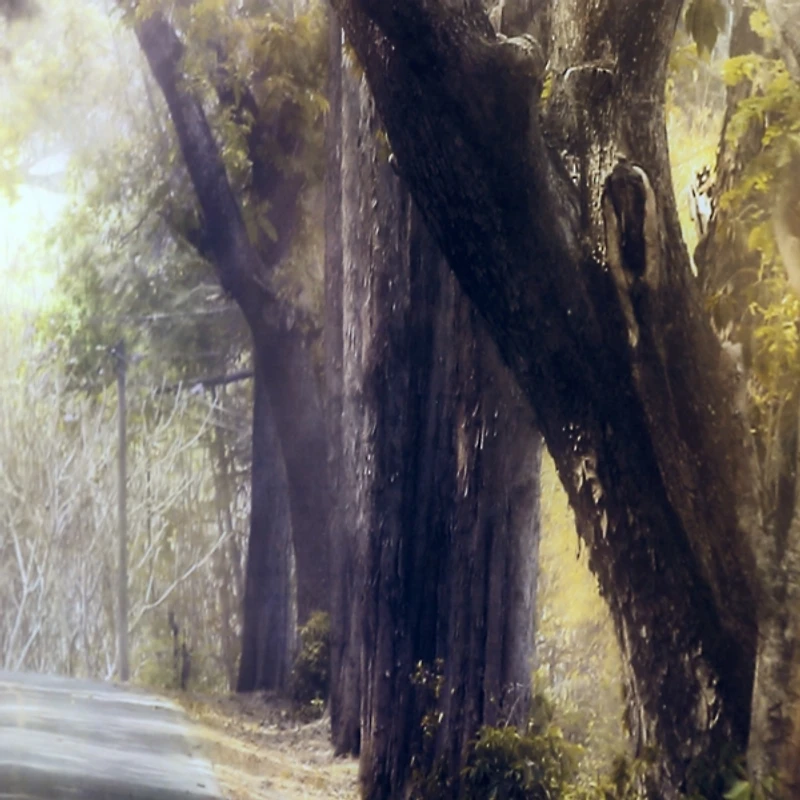 Road to Remember Tempered Glass Art Print