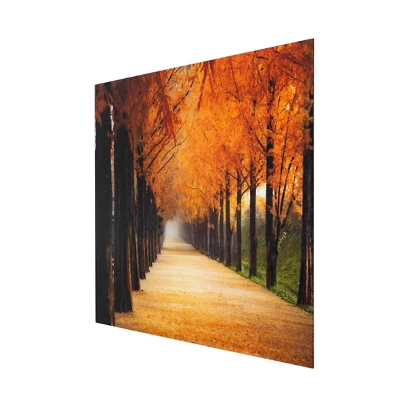 Perfect Trail Tempered Glass Art Print