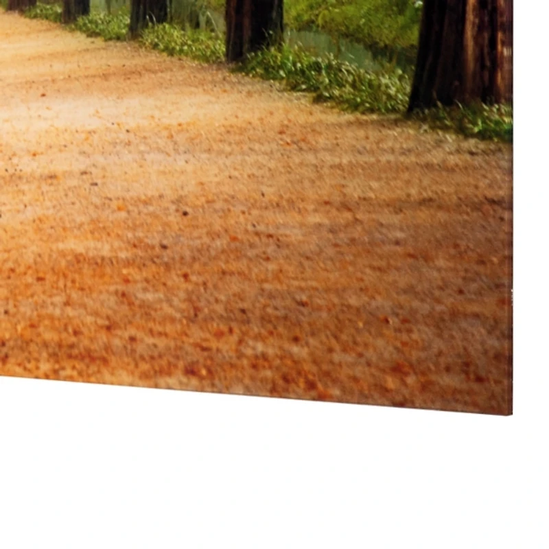 Perfect Trail Tempered Glass Art Print