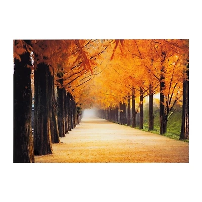 Perfect Trail Tempered Glass Art Print