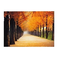 Perfect Trail Tempered Glass Art Print