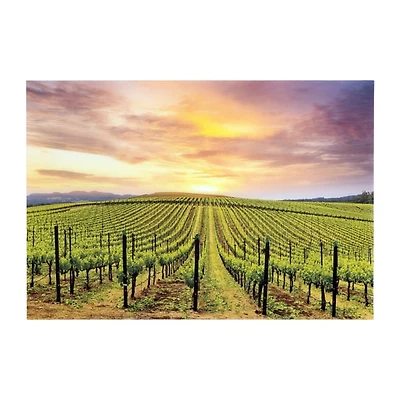 Grapevines Tempered Glass Art Print