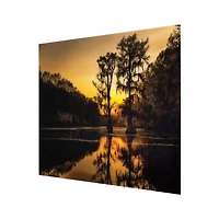 Cypress Tree Sunrise Tempered Glass Art Print