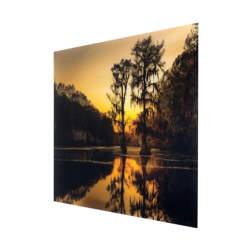 Cypress Tree Sunrise Tempered Glass Art Print