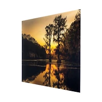 Cypress Tree Sunrise Tempered Glass Art Print