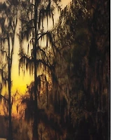 Cypress Tree Sunrise Tempered Glass Art Print