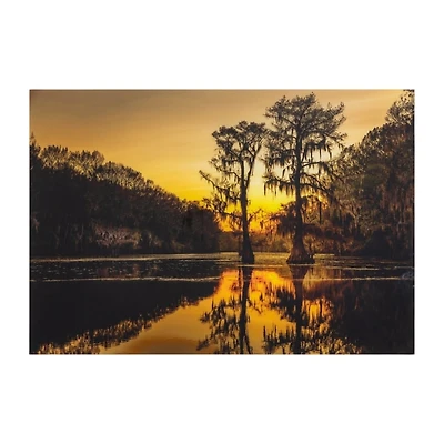 Cypress Tree Sunrise Tempered Glass Art Print